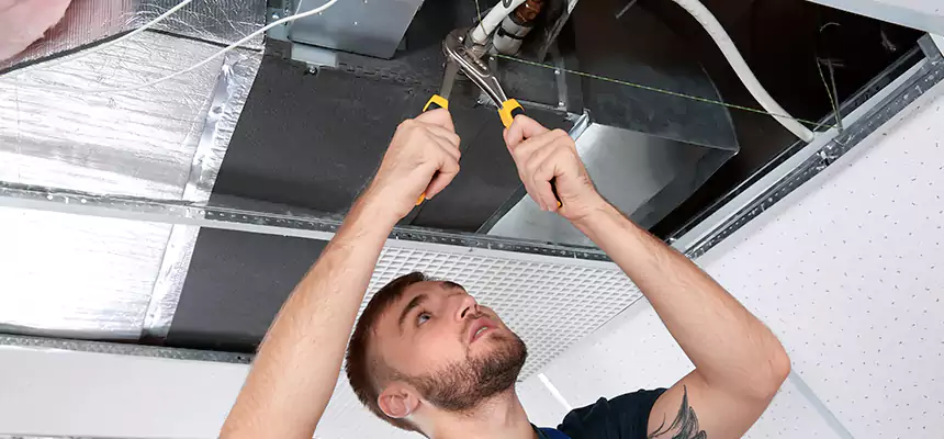Targeted HVAC Coil & Plenum Commercial Duct Sanitization in Ives Estates