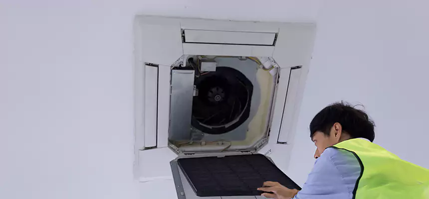 Our Dryer Vent Sanitization Service Services in Ives Estates, FL