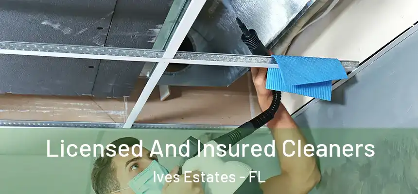 Licensed And Insured Cleaners Ives Estates - FL