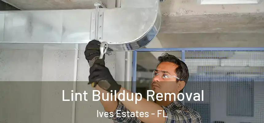 Lint Buildup Removal Ives Estates - FL
