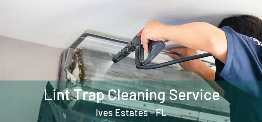 Lint Trap Cleaning Service Ives Estates - FL
