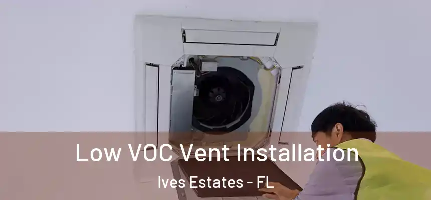 Low VOC Vent Installation Ives Estates - FL