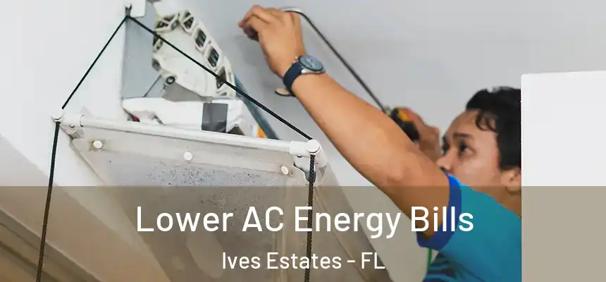 Lower AC Energy Bills Ives Estates - FL