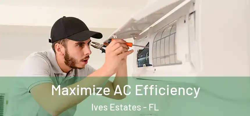 Maximize AC Efficiency Ives Estates - FL