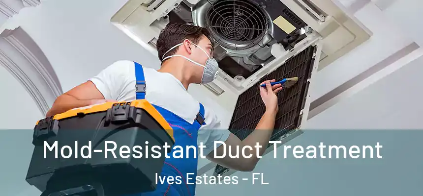 Mold-Resistant Duct Treatment Ives Estates - FL