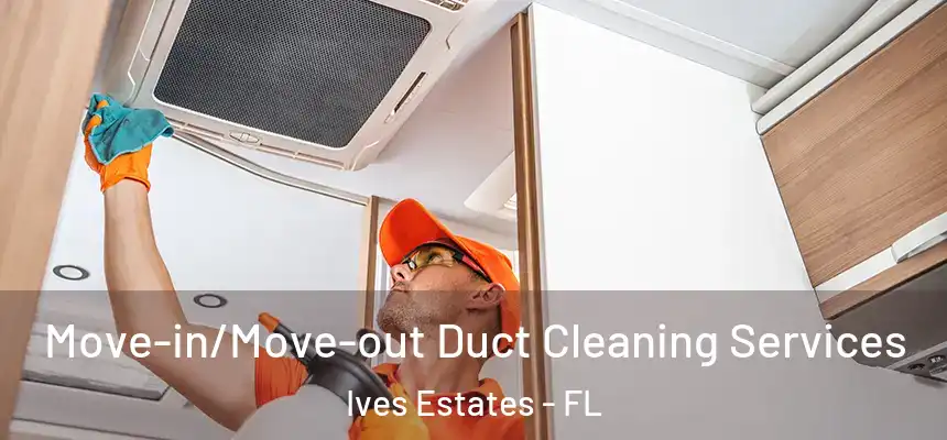 Move-in/Move-out Duct Cleaning Services Ives Estates - FL