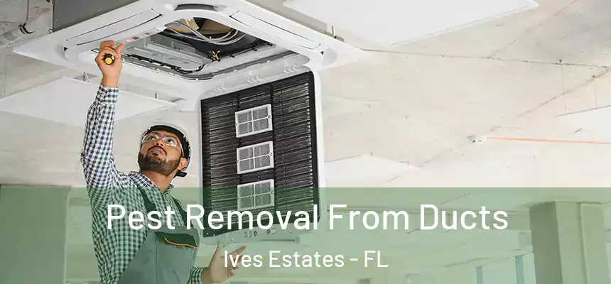 Pest Removal From Ducts Ives Estates - FL