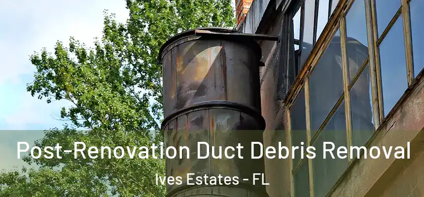 Post-Renovation Duct Debris Removal Ives Estates - FL
