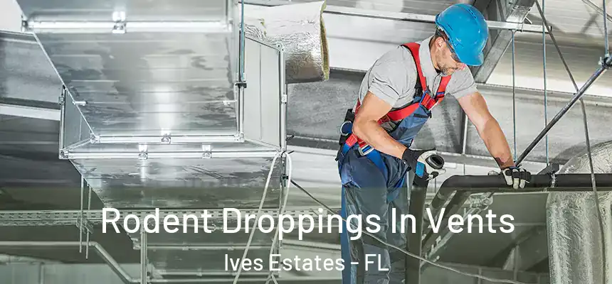 Rodent Droppings In Vents Ives Estates - FL