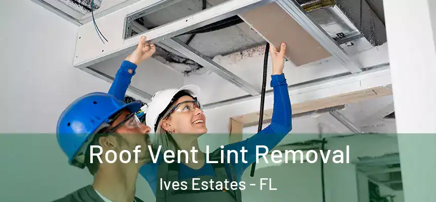  Roof Vent Lint Removal Ives Estates - FL