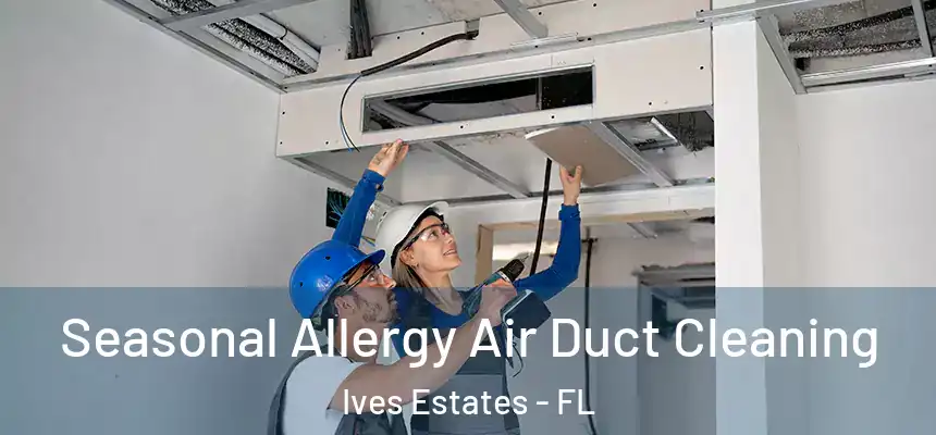 Seasonal Allergy Air Duct Cleaning Ives Estates - FL