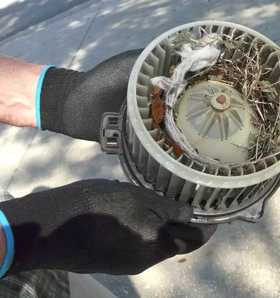 About Air Duct Mice Removal in Ives Estates, FL