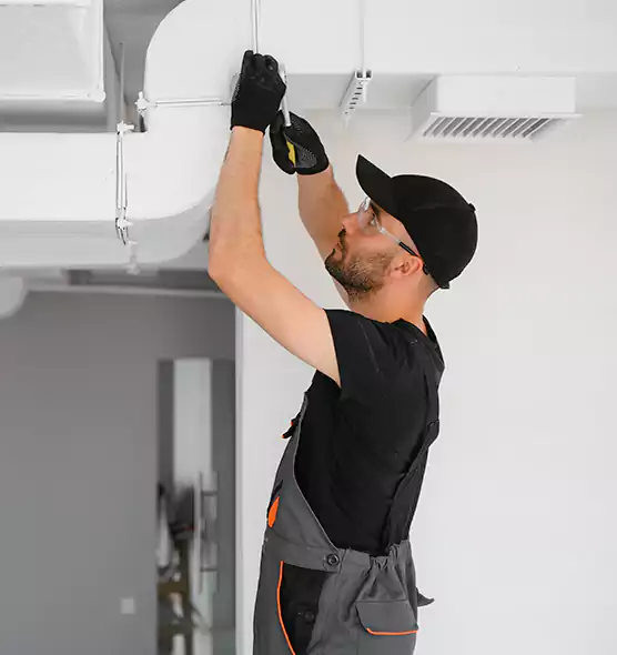 Professional Air Purifier Installation in Ives Estates, FL