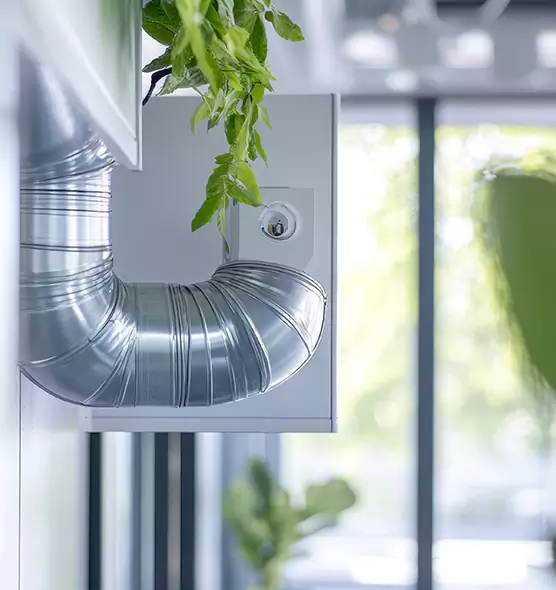 Professional Eco-Friendly Duct Cleaning Services in Ives Estates, FL