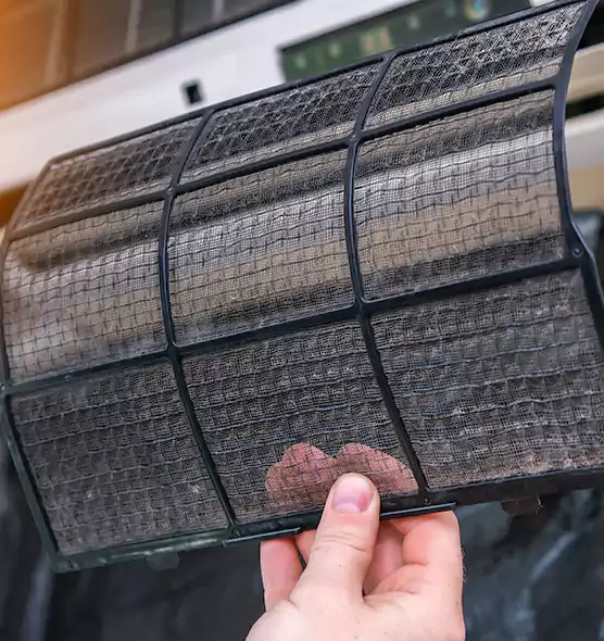 About Pet Dander Duct Cleaning in Ives Estates, FL