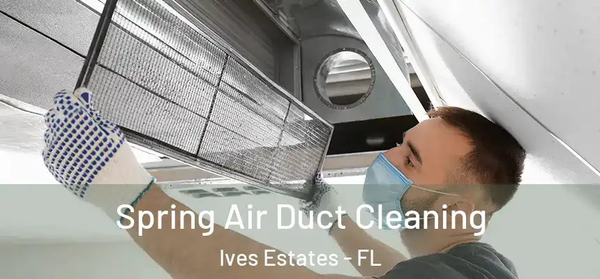 Spring Air Duct Cleaning Ives Estates - FL