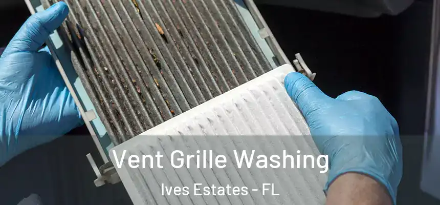 Vent Grille Washing Ives Estates - FL