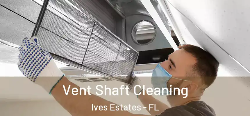 Vent Shaft Cleaning Ives Estates - FL