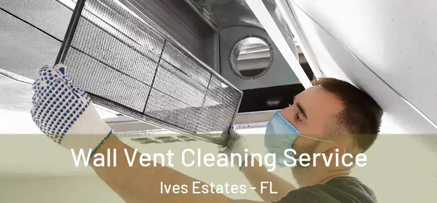 Wall Vent Cleaning Service Ives Estates - FL