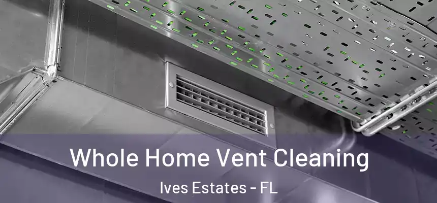 Whole Home Vent Cleaning Ives Estates - FL